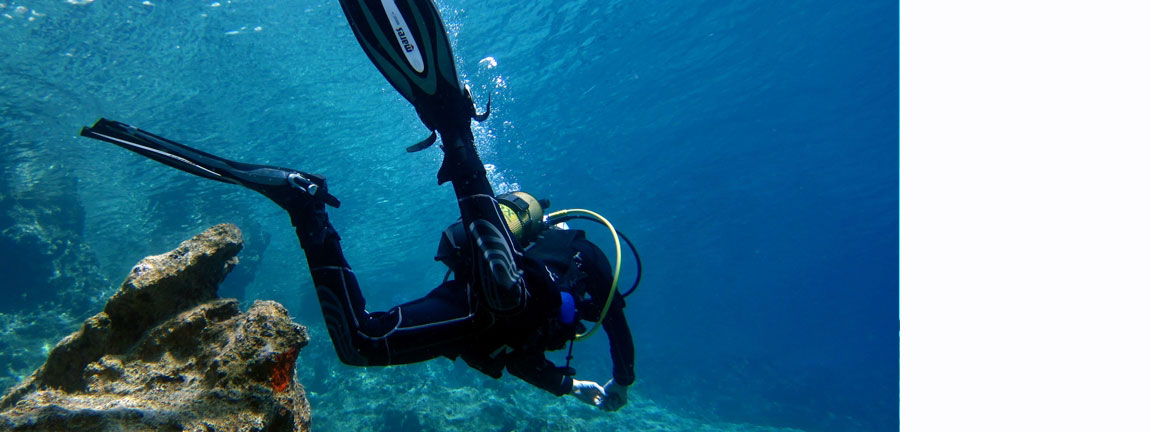 Pati Wreck